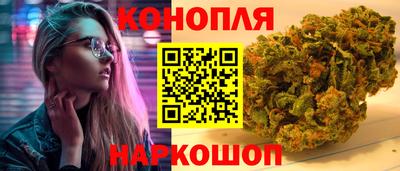 индика Сланцы