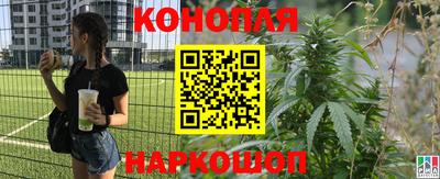 тгк Славянск-на-Кубани