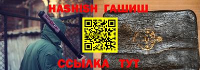индика Сланцы